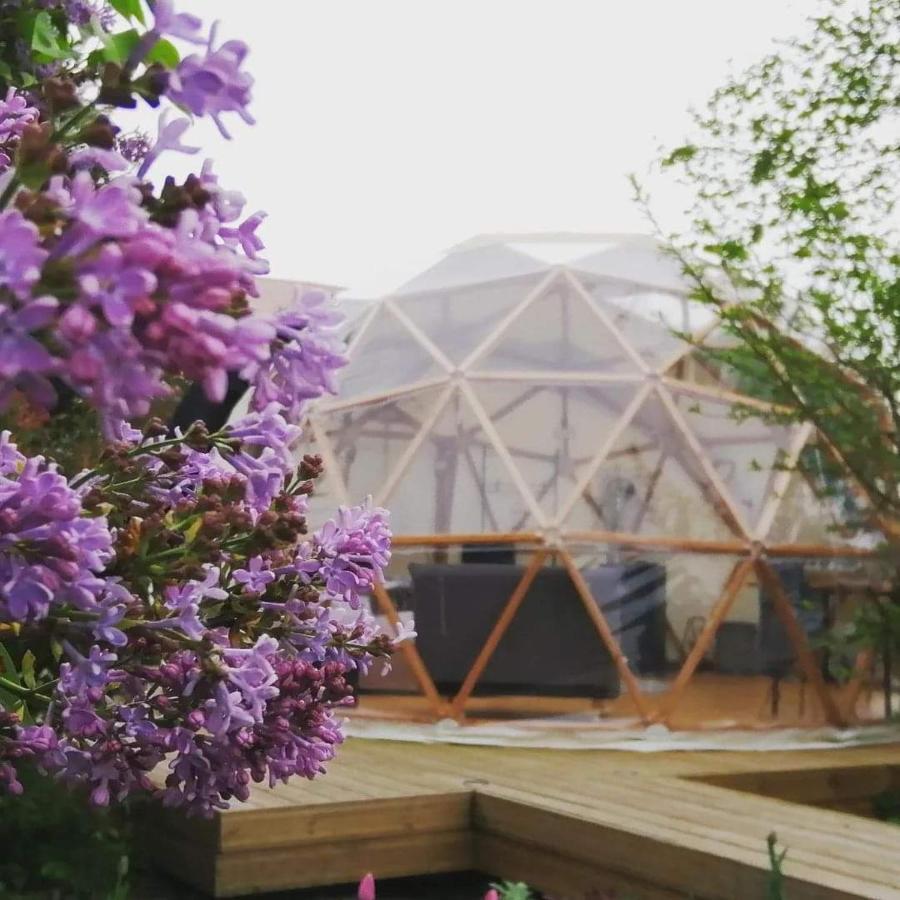 Le Dome Aux Oiseaux Hotel Berig-Vintrange Bagian luar foto