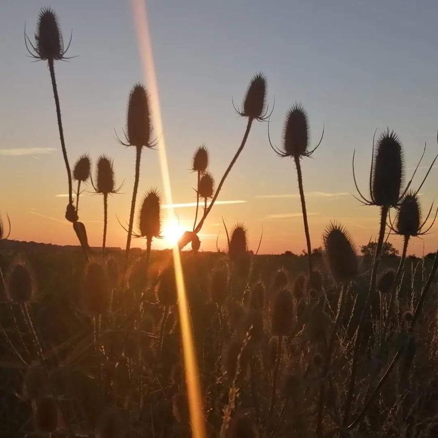 Le Dome Aux Oiseaux Hotel Berig-Vintrange Bagian luar foto